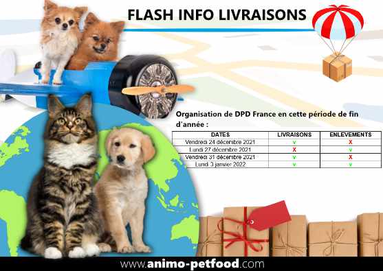livraisons de croquettes noel chien et chat